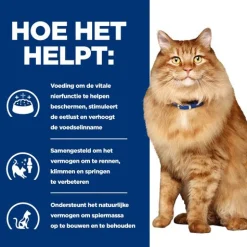 Hill's Prescription Diet K/D + Mobility - Kidney + Joint Care Zak Kip - Kattenvoer