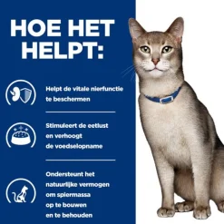 Hill's Prescription Diet K/D Kidney Care Zak Kip - Kattenvoer