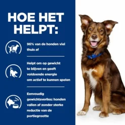 Hill's Prescription Diet Metabolic - Weight Management - Hondenvoer - Kip 370 g