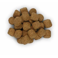 Hill's Prescription Diet R/D Weight Reduction Zak Kip - Hondenvoer