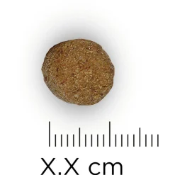 Hill's Prescription Diet R/D Weight Reduction Zak Kip - Hondenvoer