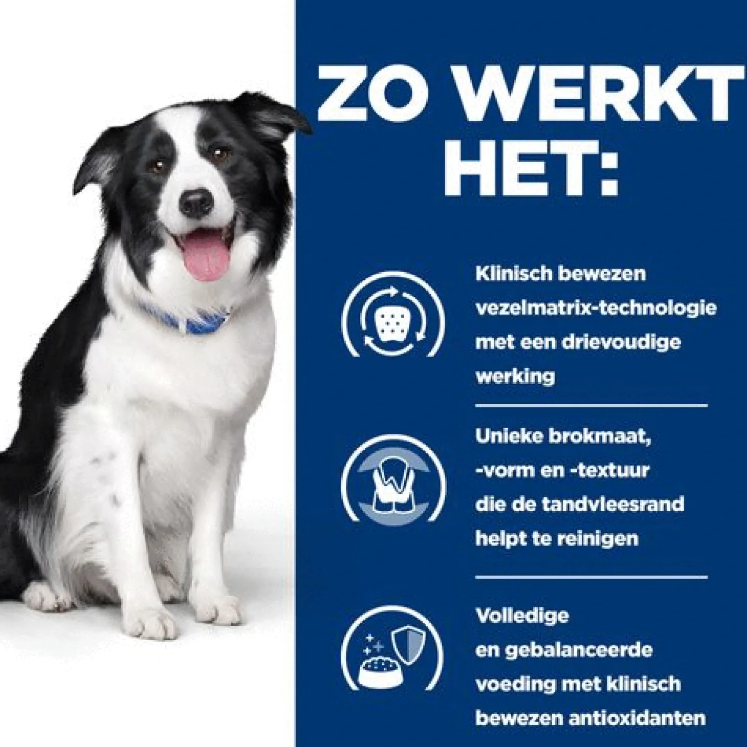 Hill's Prescription Diet T/D Dental Care Zak - Hondenvoer - Kip 4 kg