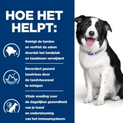 Hill's Prescription Diet T/D Dental Care Zak - Hondenvoer - Kip 4 kg