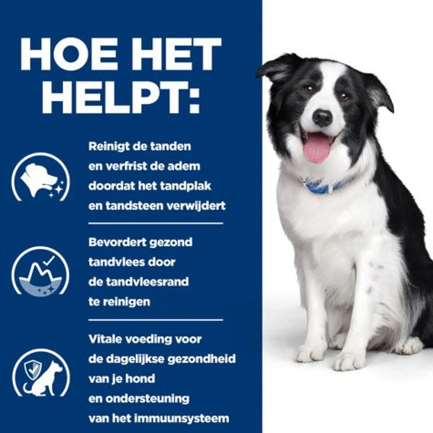 Hill's Prescription Diet T/D Dental Care Zak - Hondenvoer - Kip 4 kg