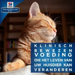 Hill's Prescription Diet T/D Dental Care Zak Kip - Kattenvoer
