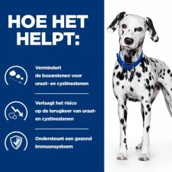 Hill's Prescription Diet U/D Urinary Care Zak - Hondenvoer