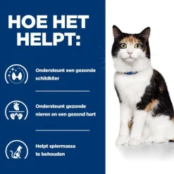 Hill's Prescription Diet Y/D Thyroid Care Zak - Kattenvoer