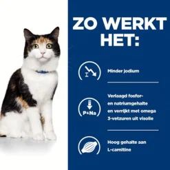 Hill's Prescription Diet Y/D Thyroid Care Blik - Kattenvoer - Kip 156 g