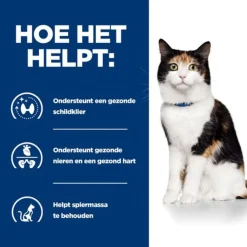 Hill's Prescription Diet Y/D Thyroid Care Blik - Kattenvoer - Kip 156 g