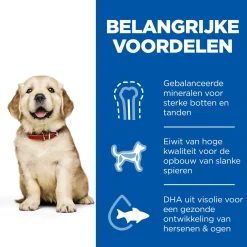 Hill's Puppy Large Breed - Hondenvoer - Kip 16 kg