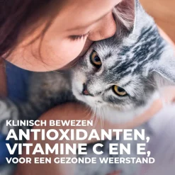 Hill's Sterilised Kitten Kip - Kattenvoer