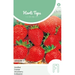 Hortitops Aardbei Grandian F1 - Groentezaden - 20 stuks