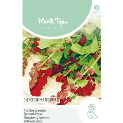 Hortitops Aardbeispinazie - Groentezaden - 100 mg