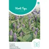 Hortitops Agastache - Dropplant (Mexicana) - Bloemenzaden - 400 mg