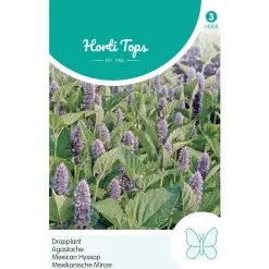Hortitops Agastache - Dropplant (Mexicana) - Bloemenzaden - 400 mg