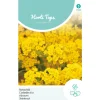 Hortitops Alyssum - Rotsschild Goudgeel - Bloemenzaden - 300 mg