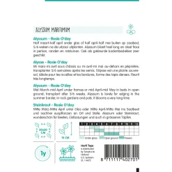 Hortitops Alyssum Rosie O'Day - Bloemenzaden - 500 mg