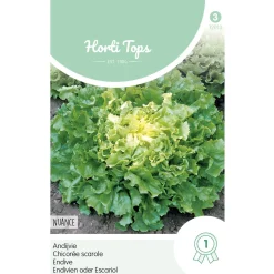 Hortitops Andijvie Nuance - Groentezaden - 1 g
