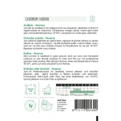 Hortitops Andijvie Nuance - Groentezaden - 1 g