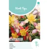 Hortitops Aquilegia - Akelei Mrs. Scott Elliott - Bloemenzaden - 500 mg