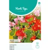 Hortitops Begonia - Tuinbegonia Gemengd - Bloemenzaden - 50 mg