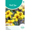 Hortitops Bidens Golden Eye - Bloemenzaden - 250 mg