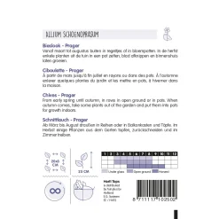 Hortitops Bieslook Prager - Fijne - Kruidenzaden - 2 g