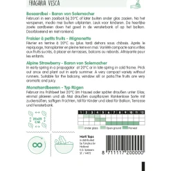 Hortitops Bosaardbei - Baron Von Solemacher - Groentezaden - 250 mg