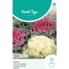 Hortitops Brassica - Sierkool Gemengd - Bloemenzaden - 250 mg