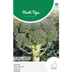 Hortitops Broccoli Calabria Natalino - Groentezaden - 1 g