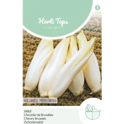 Hortitops Brussels Witlof Hollandse Middelvroeg - Groentezaden - 3 g