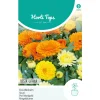 Hortitops Calendula - Goudsbloem Fiesta Gitana Gemengd - Bloemenzaden - 1.5 g