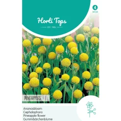 Hortitops Cephalophora - Ananasbloem Pineapples - Bloemenzaden - 100 mg
