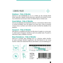 Hortitops Cerinthe - Wasbloem Pride Of Gibraltar - Bloemenzaden - 1 g