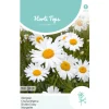 Hortitops Chrysanthemum - Margriet May Queen - Bloemenzaden - 750 mg
