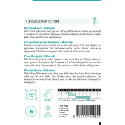 Hortitops Chrysanthemum - Ganzebloem Eldorado Geel - Bloemenzaden - 1 g