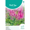 Hortitops Cleome - Kattensnor Rose Queen - Bloemenzaden - 750 mg