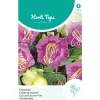 Hortitops Cobaea - Klokwinde - Bloemenzaden - 1 g