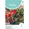 Hortitops Coleus - Siernetel Regenboogmengsel - Bloemenzaden - 200 mg