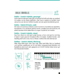 Hortitops Dahlia Unwin's Hybride Gemengd - Bloemenzaden - 750 mg