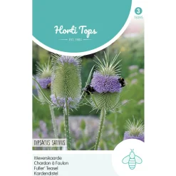 Hortitops Dipsacus - Weverskaarde - Bloemenzaden - 500 mg