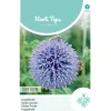 Hortitops Echinops - Kogeldistel Blue Globe - Bloemenzaden - 500 mg
