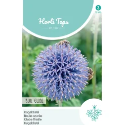 Hortitops Echinops - Kogeldistel Blue Globe - Bloemenzaden - 500 mg