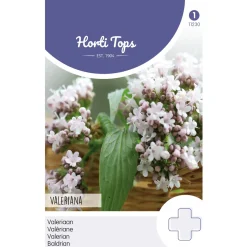 Hortitops Echte Valeriaan - Kruidenzaden - 250 mg