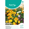 Hortitops Eschscholtzia - Slaapmutsje Enkelbloemig Gemengd - Bloemenzaden - 1 g