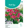 Hortitops Godetia - Zomerazalea Enkelbloemig Gemengd - Bloemenzaden - 750 mg