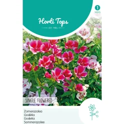 Hortitops Godetia - Zomerazalea Enkelbloemig Gemengd - Bloemenzaden - 750 mg