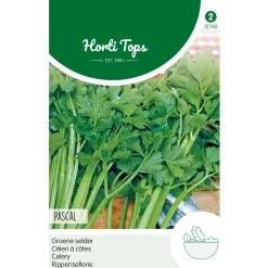 Hortitops Groene Selder Pascal - Kruidenzaden - 1 g