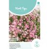 Hortitops Gypsophila - Kruipend Gipskruid Rose - Bloemenzaden - 250 mg