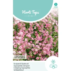 Hortitops Gypsophila - Kruipend Gipskruid Rose - Bloemenzaden - 250 mg